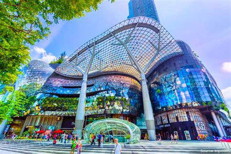 Ultimate Shopping Guide to ION Orchard Singapore: Top Picks 